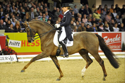 -Pokal-Sieger Rassolini unter Kathrin Meyer zu Strohen. Foto: Becker